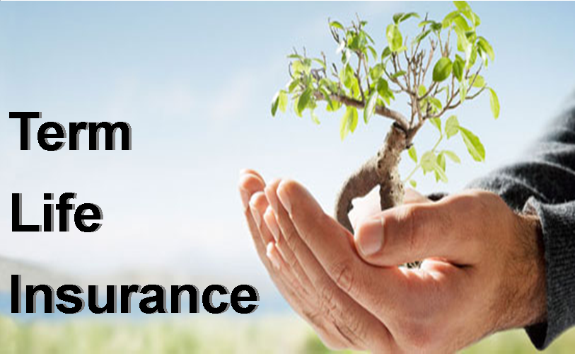 Thrivent Term Life Insurance